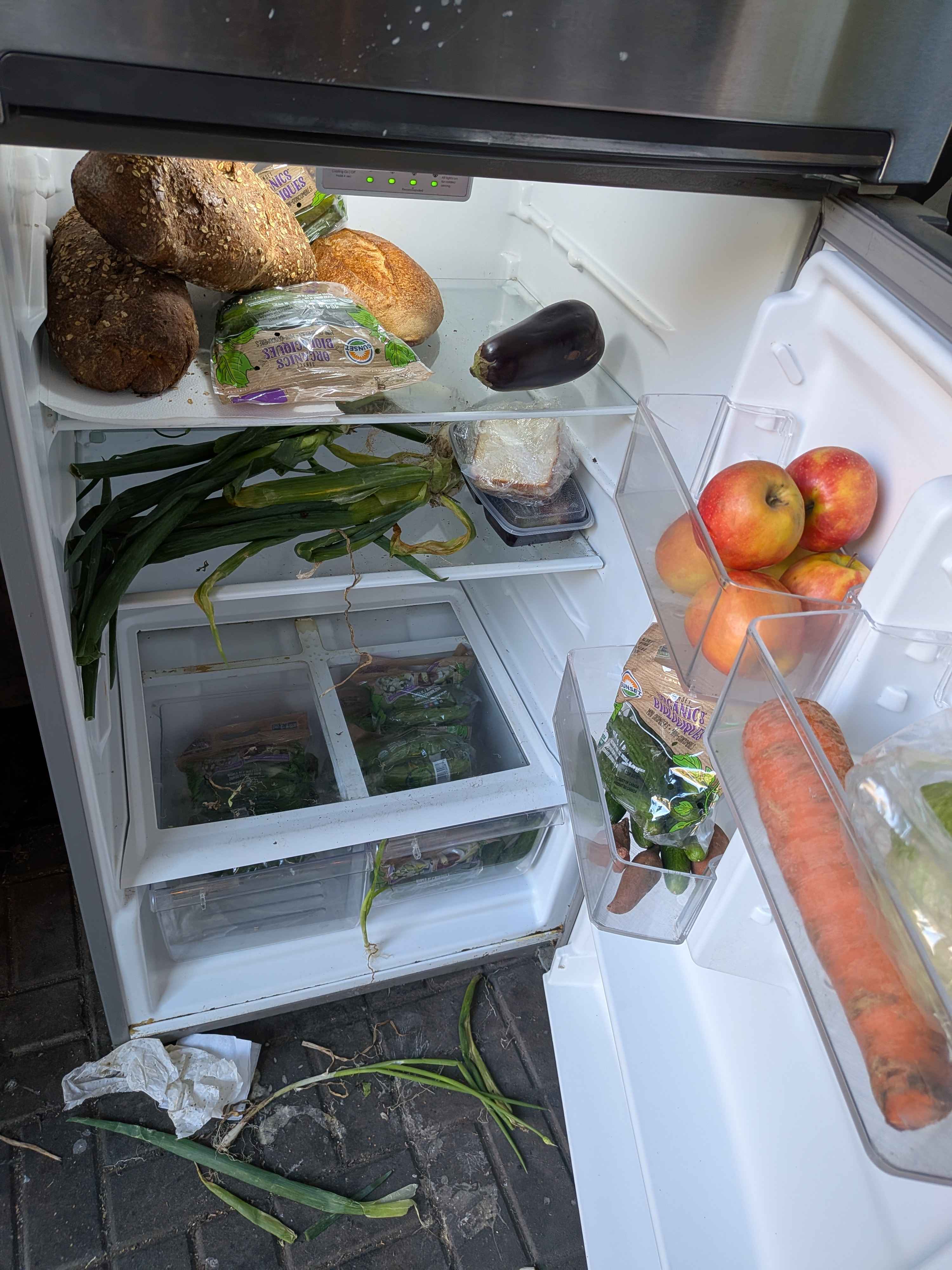 Fresh produce inside a community fridge